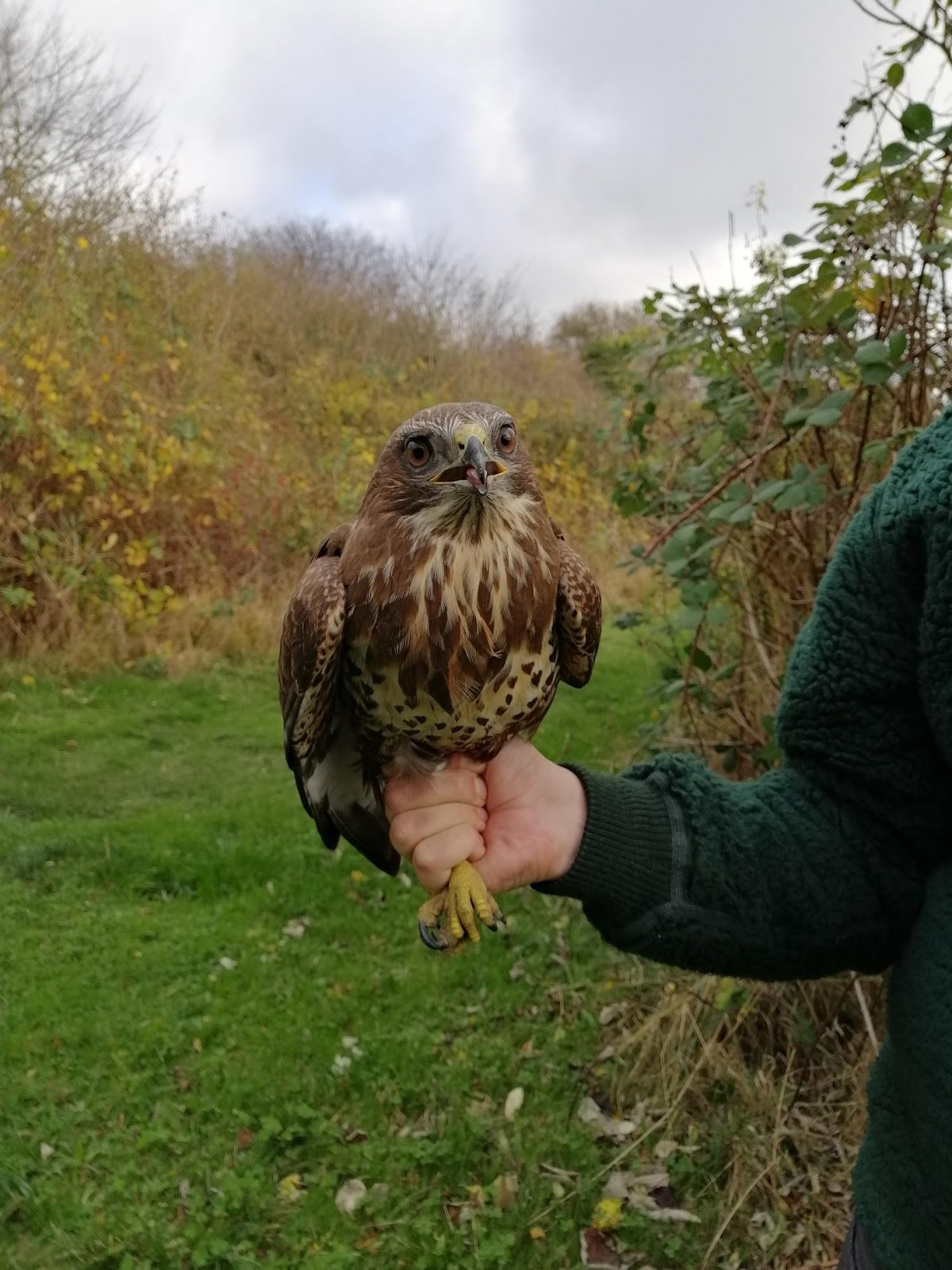 A person holding an owl

Description automatically generated