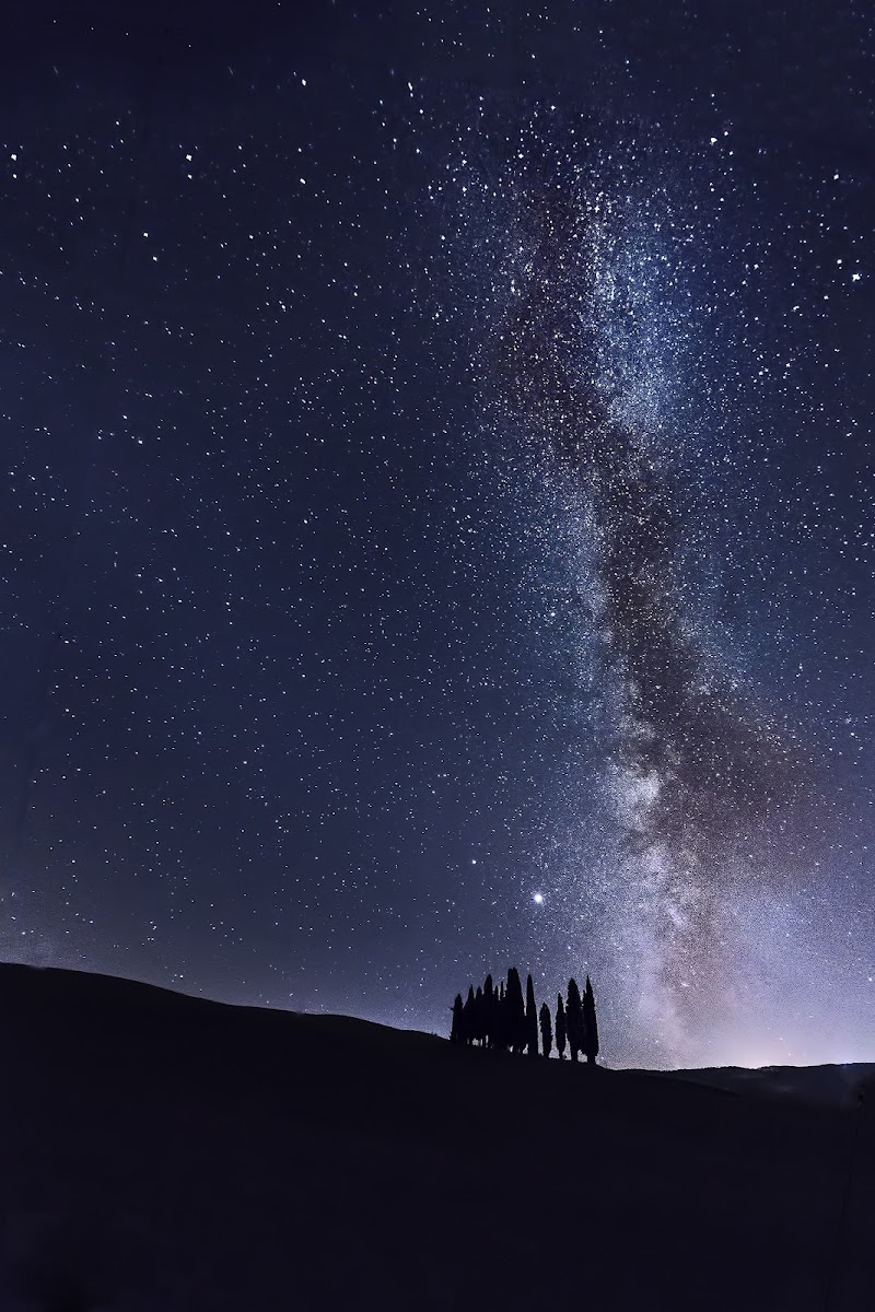 Cipressi sotto la via lattea di Jordan