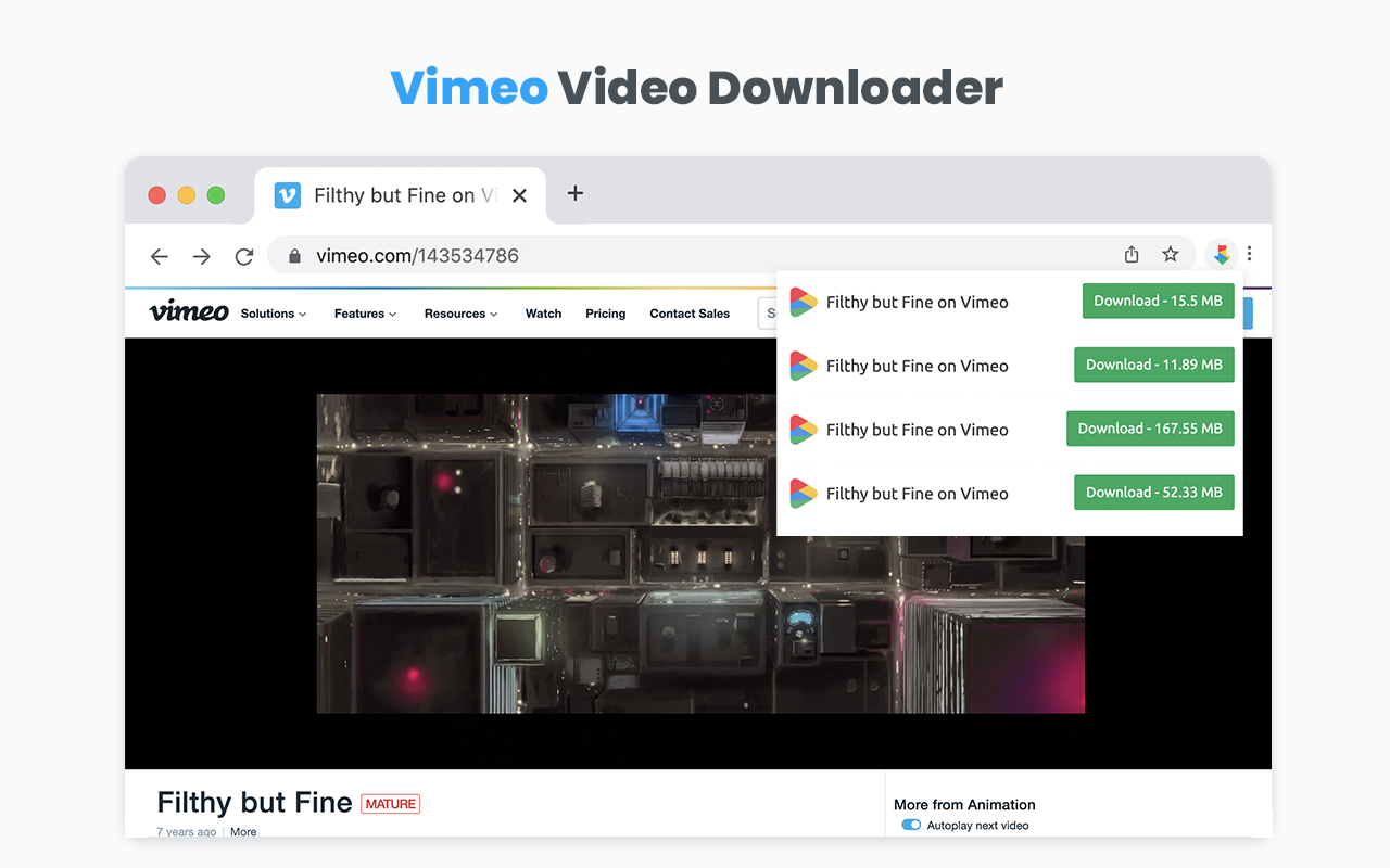 Video Downloader for Chrome Preview image 4