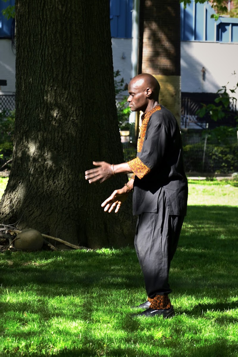 Tai Chi in Marcus Garvey Park di elenaro