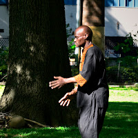 Tai Chi in Marcus Garvey Park di 