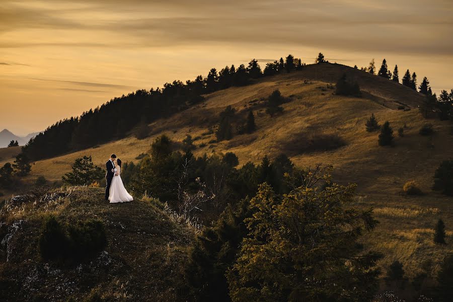 Wedding photographer Tadeusz Stec (fotostec). Photo of 14 April 2023