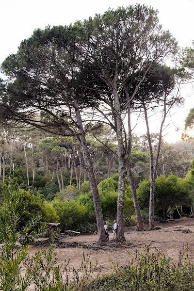 Fotografo di matrimoni Vitor Duarte (duarte). Foto del 22 settembre 2021