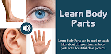 Learn Body Parts APK