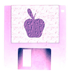DISK 027