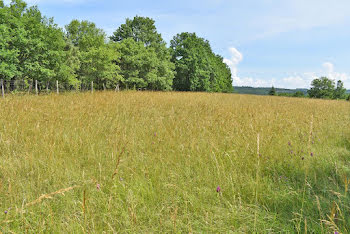 terrain à La Cassagne (24)