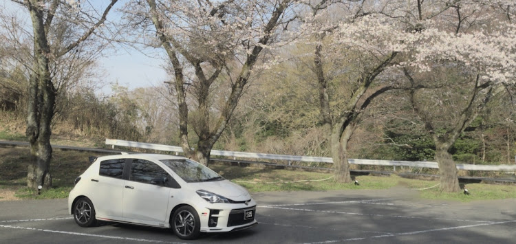 ヴィッツの桜と愛車・桜・Vitz・GAZOO RACING・信貴生駒スカイラインに関するカスタム事例の投稿画像4枚目