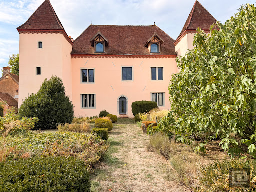 Luxury property for sale in Allériot (71380) - House with turret and brick annex