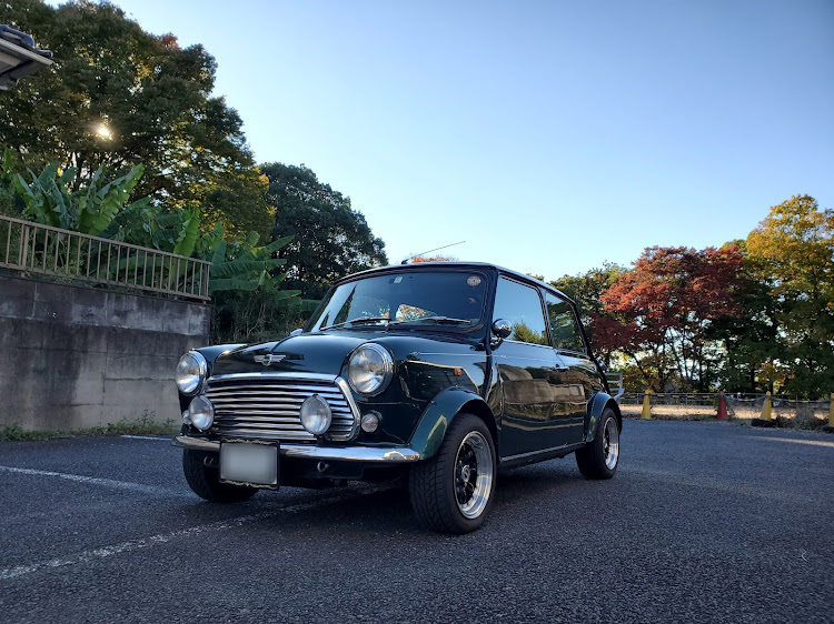 ミニクーパー1.3iの愛車の一番好きな角度・クラシックミニ・DIY・コラボ・イベント参加したいに関するカスタム事例の投稿画像1枚目
