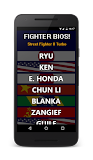 Fighter Bios: Street Fighter 2