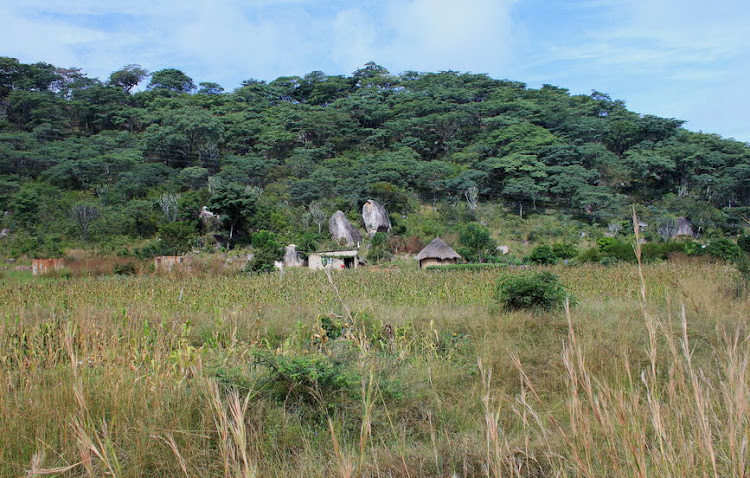 File photo of subsistence farming in Zimbabwe.