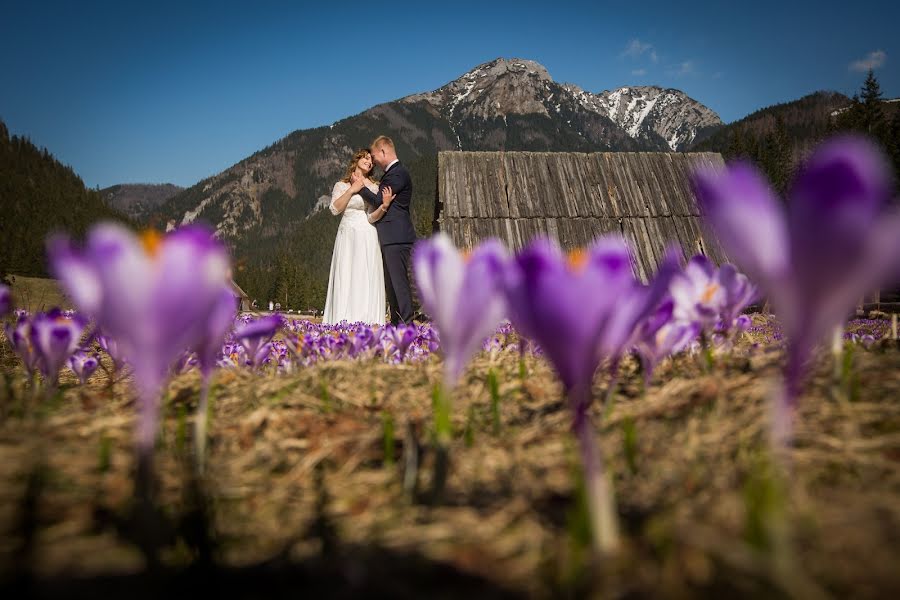 Photographe de mariage Jakub Gasek (gasek). Photo du 26 avril 2019