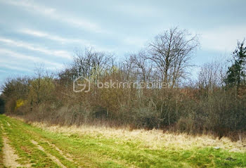 terrain à Foulain (52)