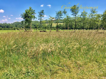 terrain à Saint-Jean-de-Côle (24)