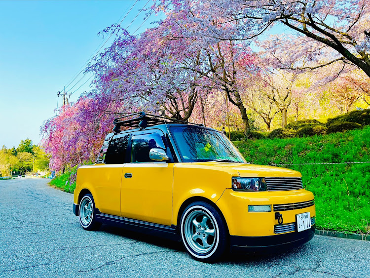 bBの頑張ろう能登‼️・4月もよろしくお願い致します🌸・ドライブ・桜コラボに関するカスタム事例の投稿画像1枚目