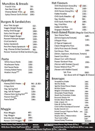 Desi Addict Kitchen menu 2