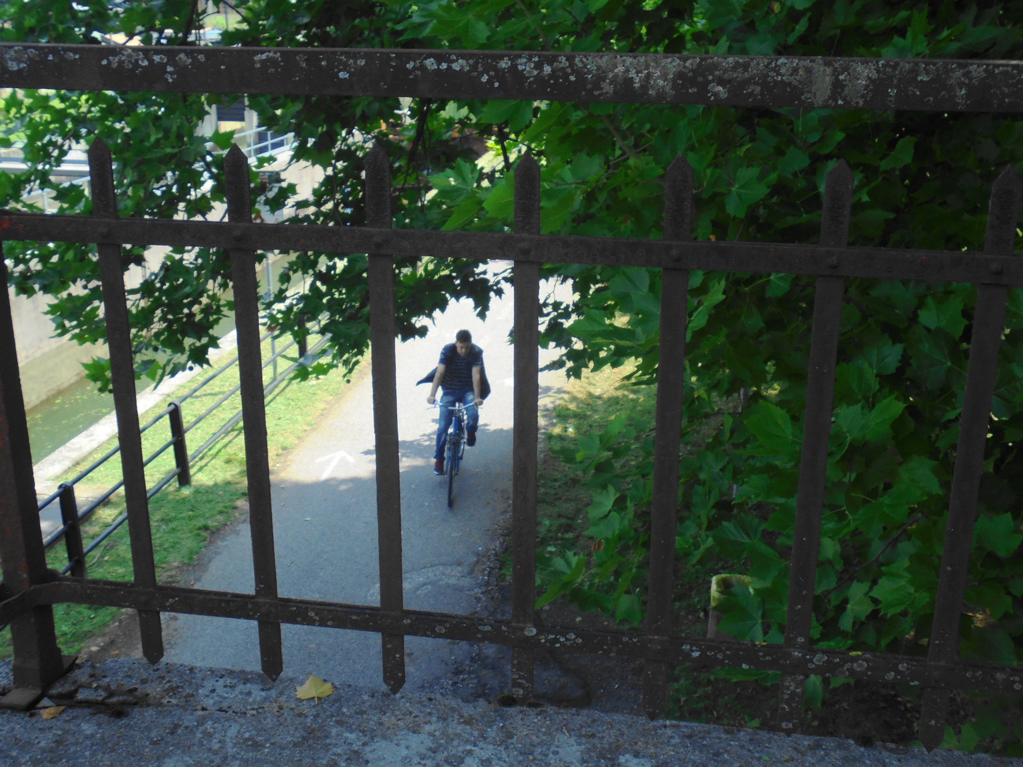 Ciclocentrico di MiP studio