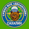 ВСК Десантник icon