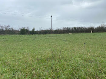 maison neuve à Verteuil-sur-Charente (16)