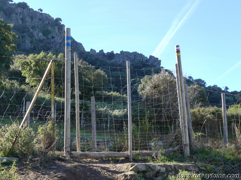 Sierra del Hacho (Gaucín)