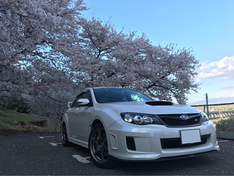 インプレッサ WRX STIの桜とコラボ・桜と愛車に関するカスタム事例の投稿画像1枚目
