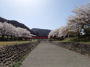 川の中を進む