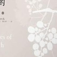 紙箱王(大坑店)