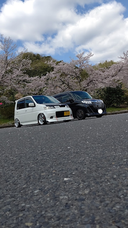ライフダンクのトールカスタム・正真正銘最後の桜コラボ😌に関するカスタム事例の投稿画像2枚目