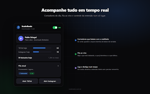 ScaleReels Downloader screenshot 3
