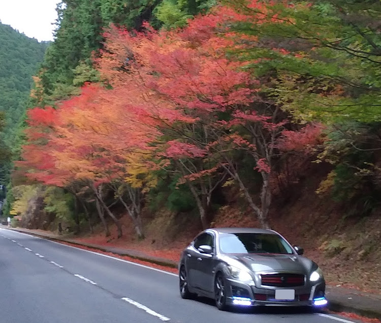 フーガの奈良県吉野郡天川村洞川・オカンとプチドライブpart７に関するカスタム事例の投稿画像1枚目