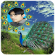 Download Peacock Frames Editor HD For PC Windows and Mac 1.0