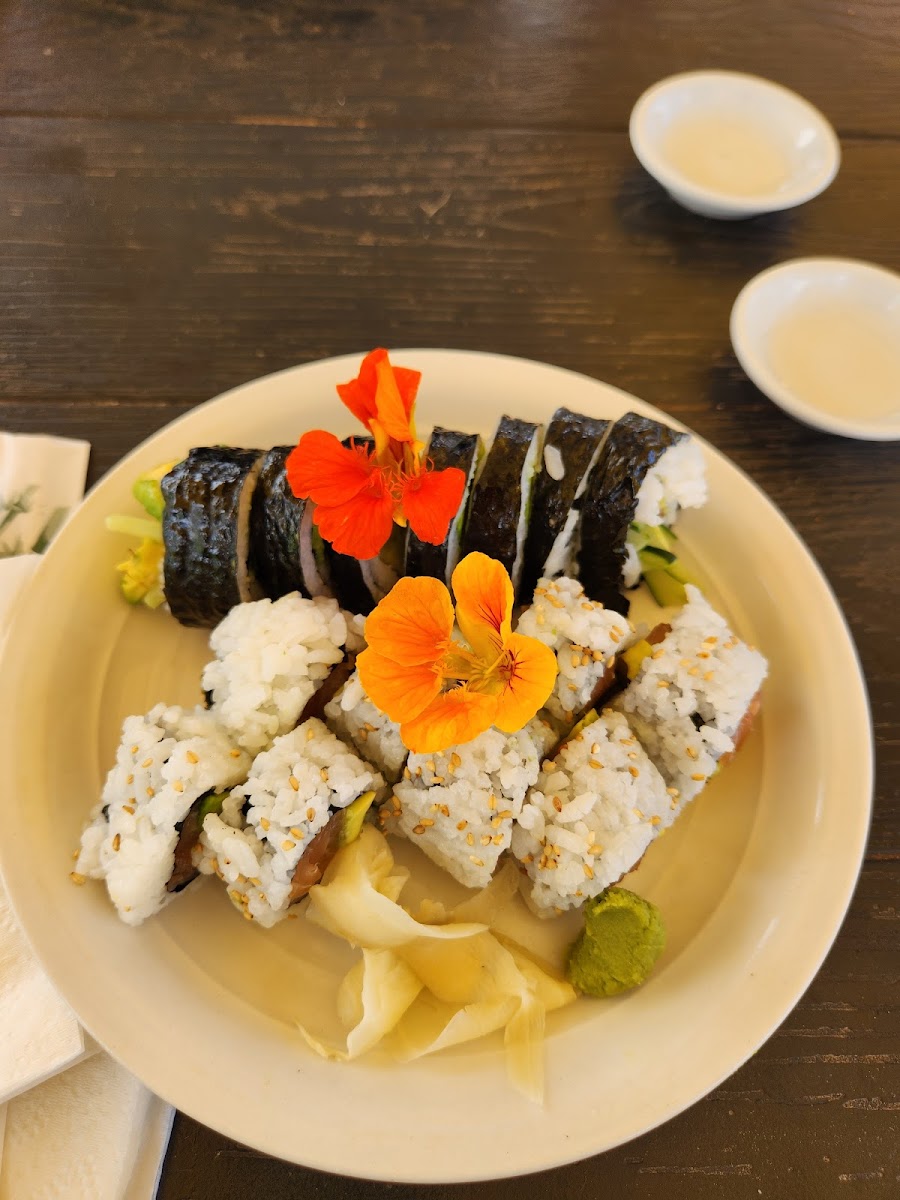 Avacado and Cucumber Roll and Organic Salmon and Avacado Roll