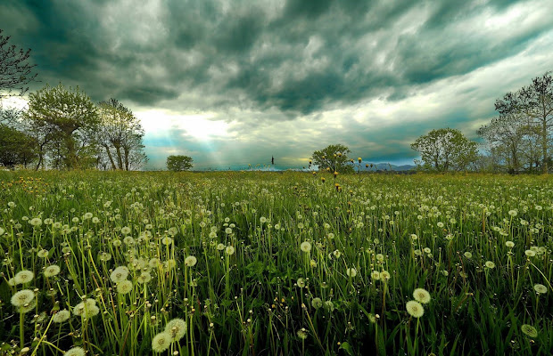 Pioggia e vento di primavera di Paguzzi