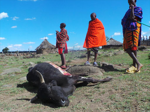 A file photo of animals dying as a result of drought. / FILE