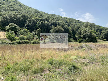 terrain à Serra-di-Fiumorbo (2B)