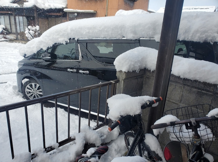 アルファードの雪とコラボに関するカスタム事例の投稿画像1枚目