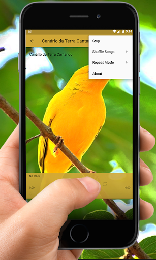 Canario Da Terra Peruano Offline