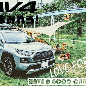 RAV4 MXAA54