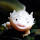 Axolotl HD Wallpapers Fish Theme