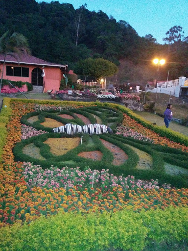 Jardín Con Mariposas