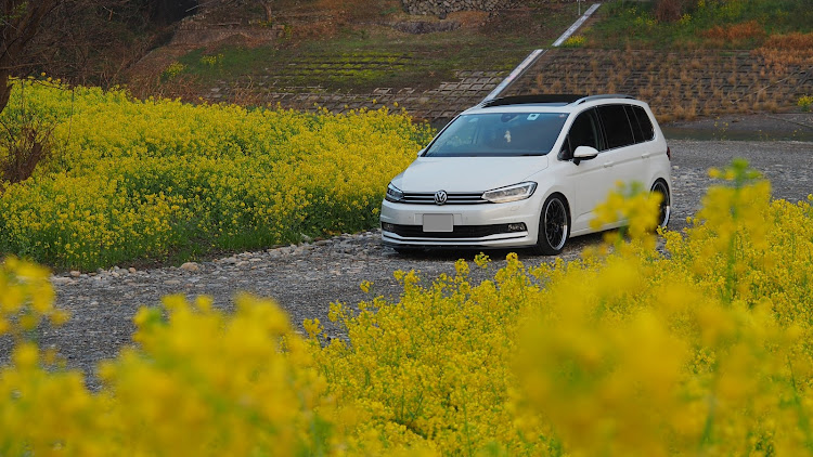 ゴルフトゥーランのingo noak tuning・トゥーラン・春・菜の花・岩国に関するカスタム事例の投稿画像2枚目