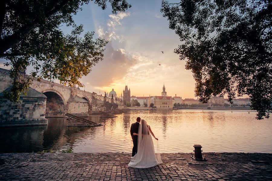 Весільний фотограф Roman Lutkov (romanlutkov). Фотографія від 22 грудня 2016