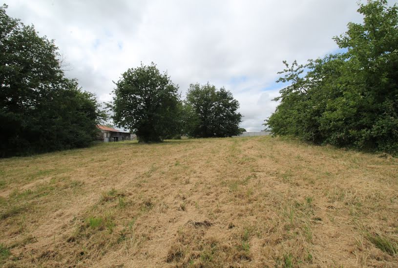  Vente Terrain à bâtir - 3 050m² à Chantonnay (85110) 