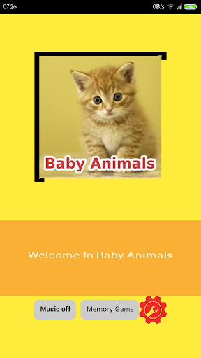 Baby Animals