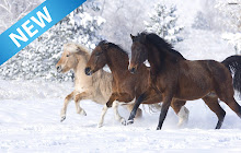 Horse Wallpaper Custom New Tab small promo image