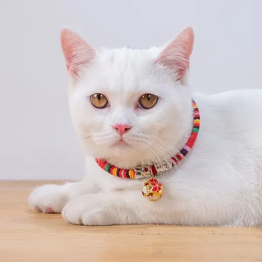 Pet Collar With Bell Bohemian style Colorful Dog Puppy Cat Accessories Kitten Collar Adjustable Safety Bell Ring Necklac