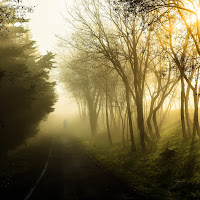 Passeggiata fra le nebbie mattutine di 