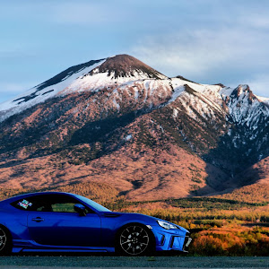 BRZ ZC6