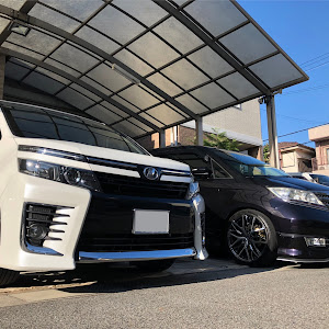 エリシオンプレステージ RR1