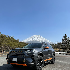 RAV4 AXAH54